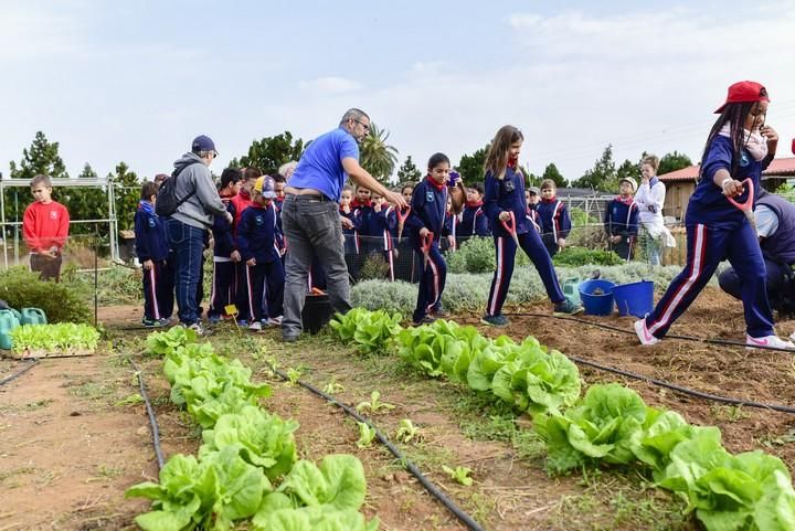 Visita escolar a la Granja Agricola del Cabildo