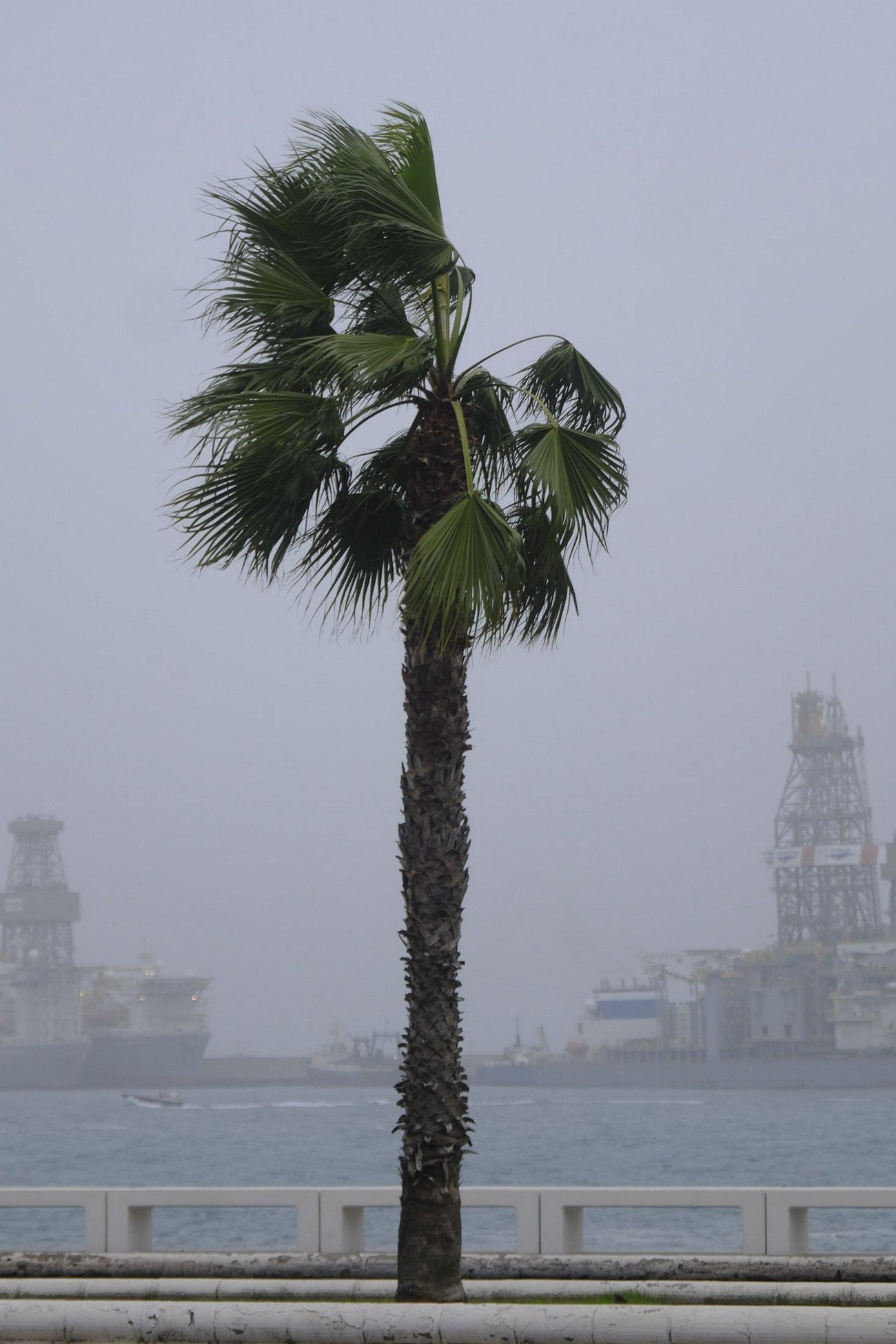 El fuerte viento golpea a una Canarias con calima