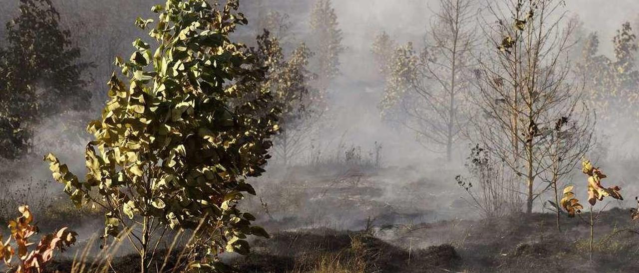 Uno de los incendios en el que intervino el servicio de Emerxencias de Rodeiro. // Bernabé/Javier Lalín