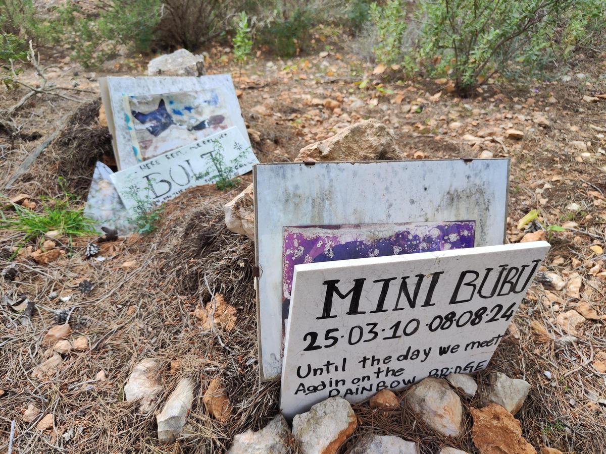 El cementerio ilegal de perros y gatos de sa Caleta en imágenes