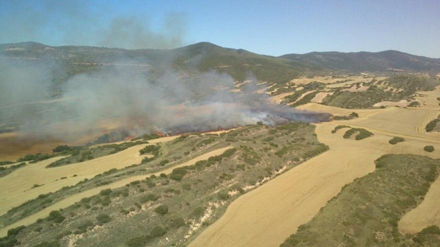 Un incendio destruye 15 hectáreas de monte bajo y campos de cereal