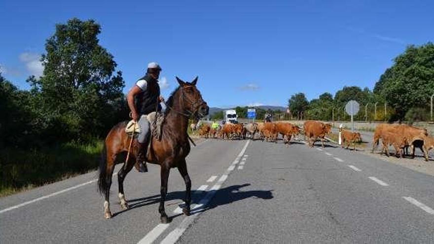 Cruce de una carretera