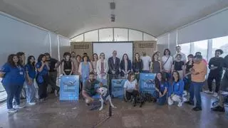 El Campello participa este año en la campaña “Tortugas en el Mediterráneo”