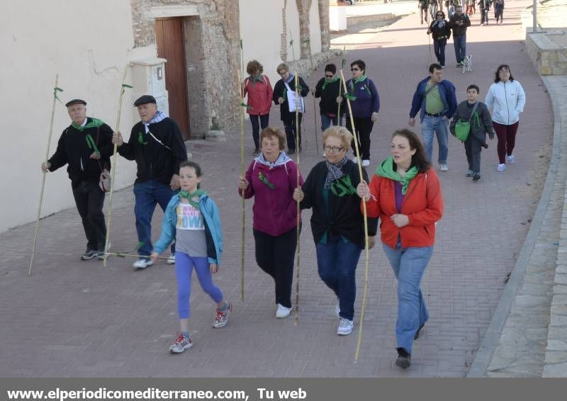 GALERÍA DE FOTOS - Romería Magdalena 2014 (2)