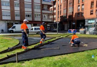 No me pises lo sembrao: Langreo pide "civismo" a los vecinos para que los 400 rosales plantados en el parque de Sama arraiguen