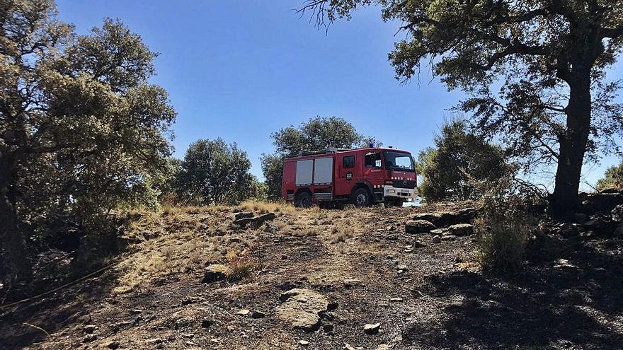 Vehicle de Bombers a Castellar de la Ribera, ahir a la tarda