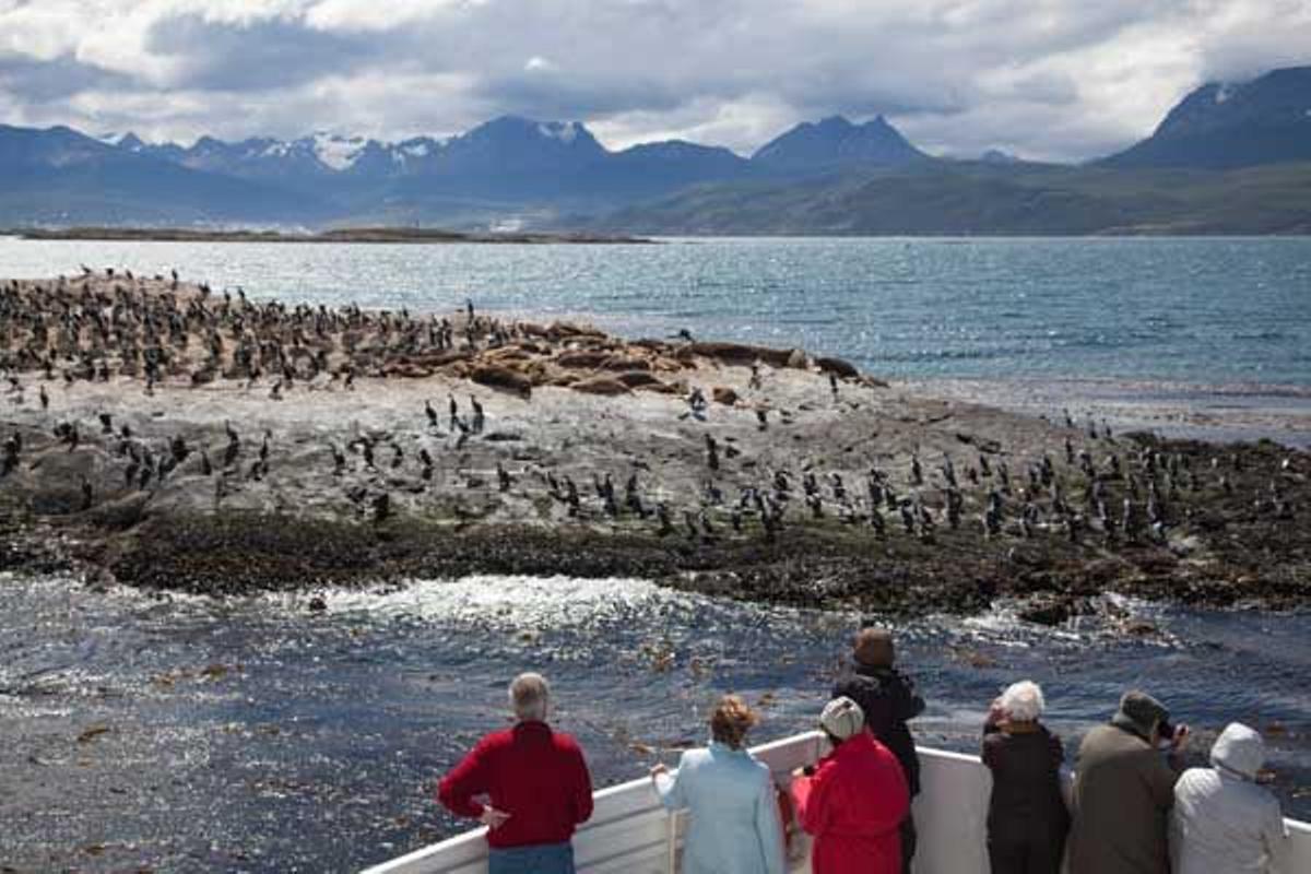 Turistas en un barco de pasajeros divisando focas y cormoranes en el canal Beagle.