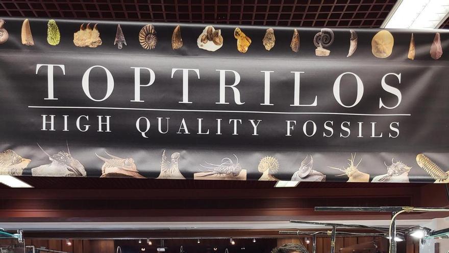 David Ochoa Estrada: «Llevaremos a Minervigo trozos de meteoritos de la Luna y dientes de dinosaurios»