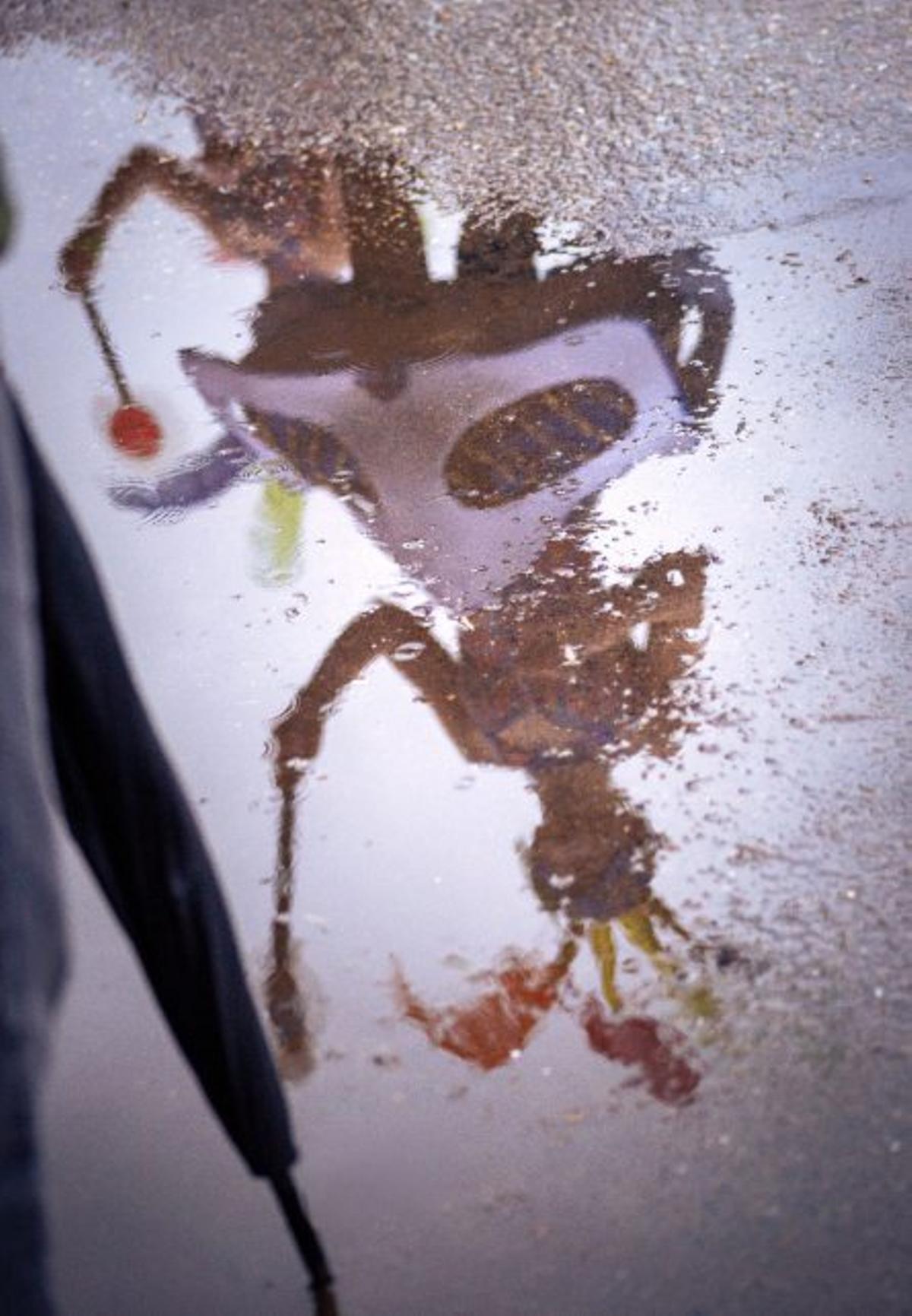 Foto de Gloria Pérez. Certamen Xank Penabella.