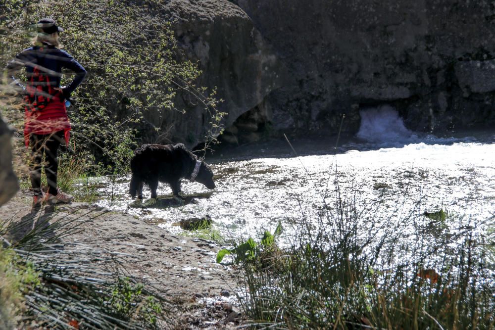 Conoce las cascadas, ríos y pozas de Alicante, los lugares donde el agua siempre fluye