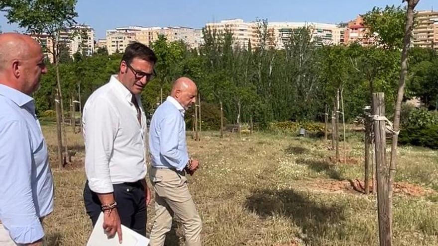 570 nuevos árboles en Cáceres para un verano más amable y con refugios climáticos