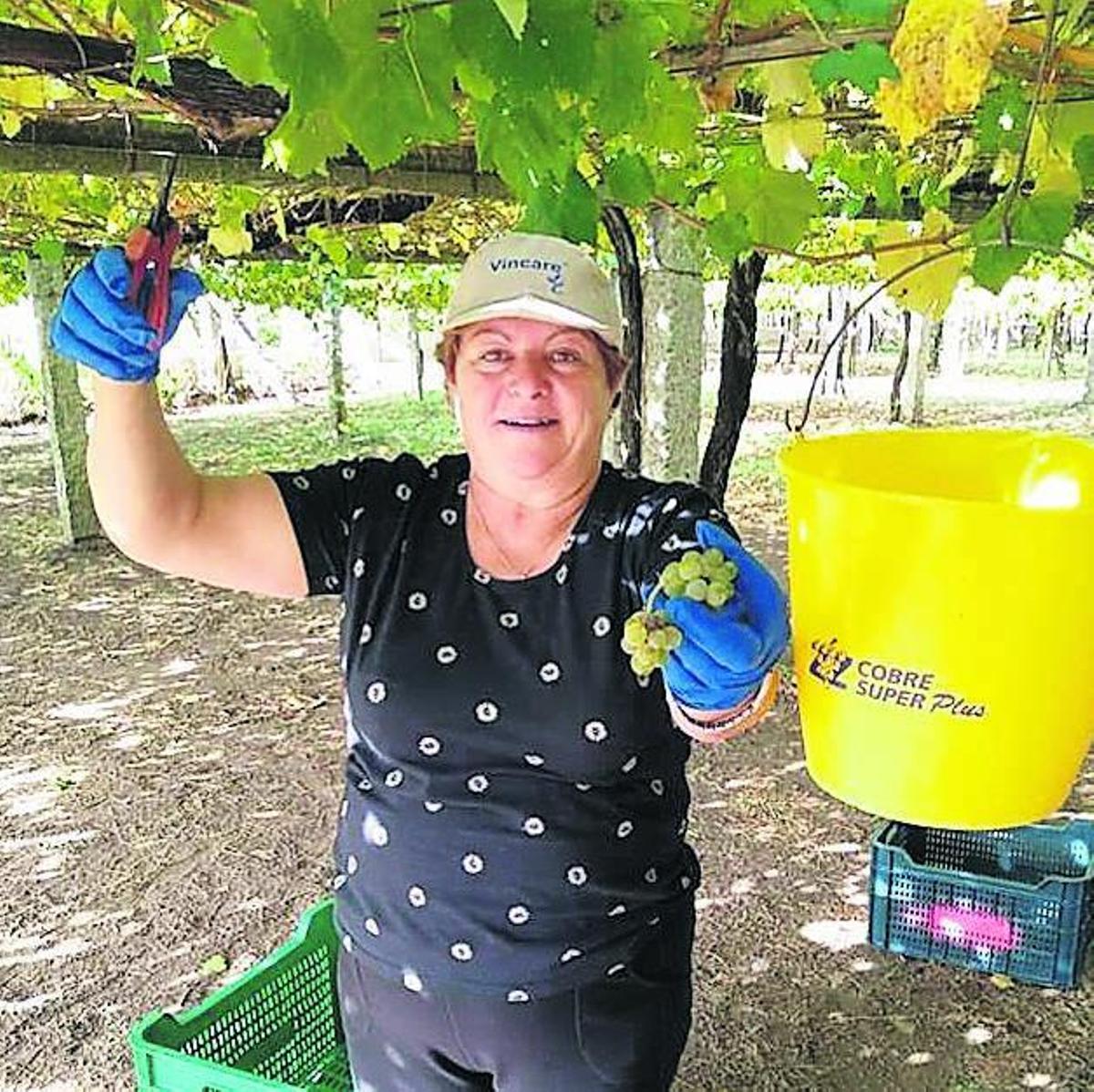 Cambados rinde honores