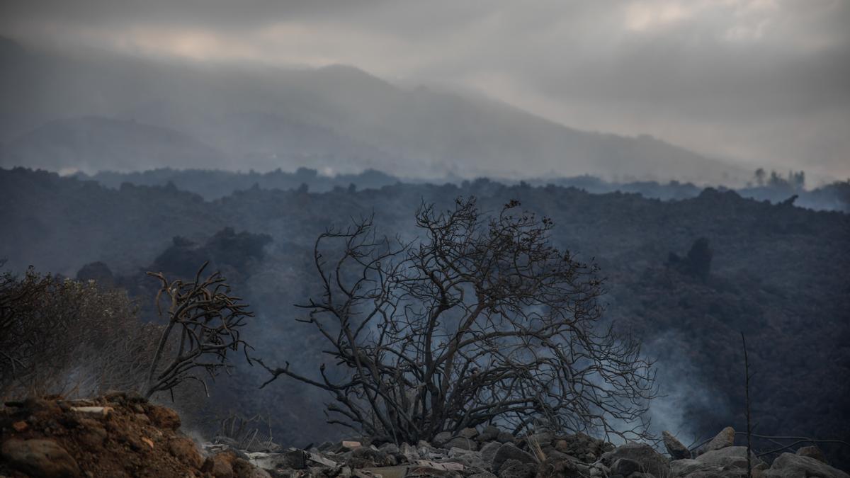 Las imágenes de la erupción volcánica en La Palma y sus devastadoras consecuencias