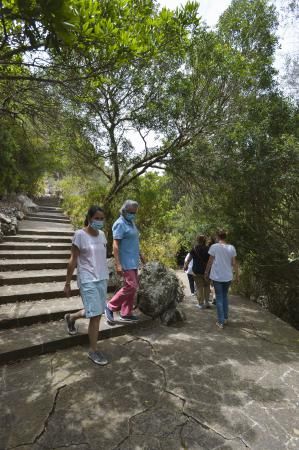 Accesibilidad en el Jardín Canario