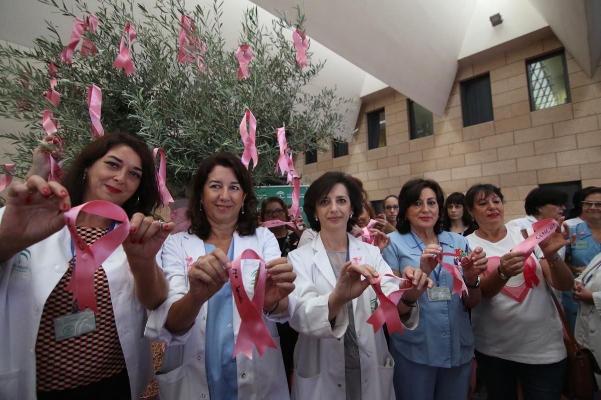 El Reina Sofía conmemora la lucha contra el cáncer de mama