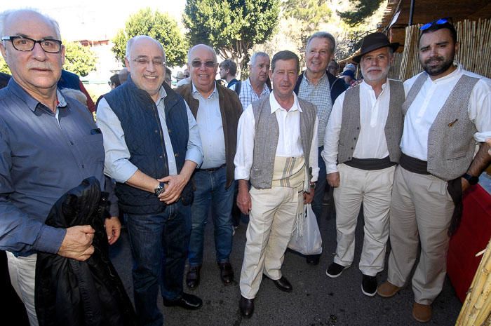 DIA DEL TURISTA. FIESTA DEL ALMENDRO EN FLOR EN ...