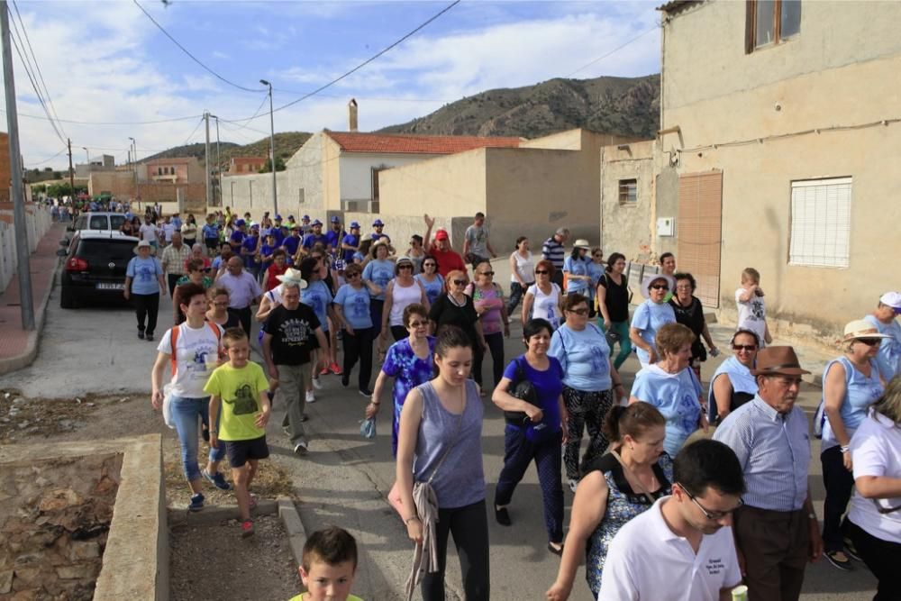 Romería de la Virgen del Rosario en Barinas