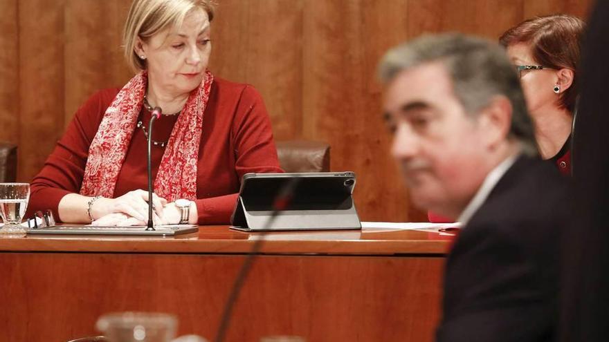 La alcaldesa de Avilés, Mariví Monteserín, y el portavoz municipal del PP, Carlos Rodríguez de la Torre, durante el Pleno de noviembre que debatió sobre la comisión del agua.