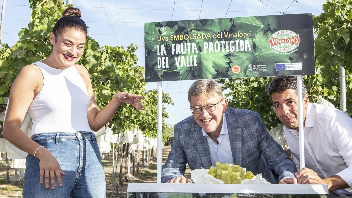 Mireia Mollà, Ximo Puig y Carlos Mazón en el acto de apertura de la campaña de la uva.