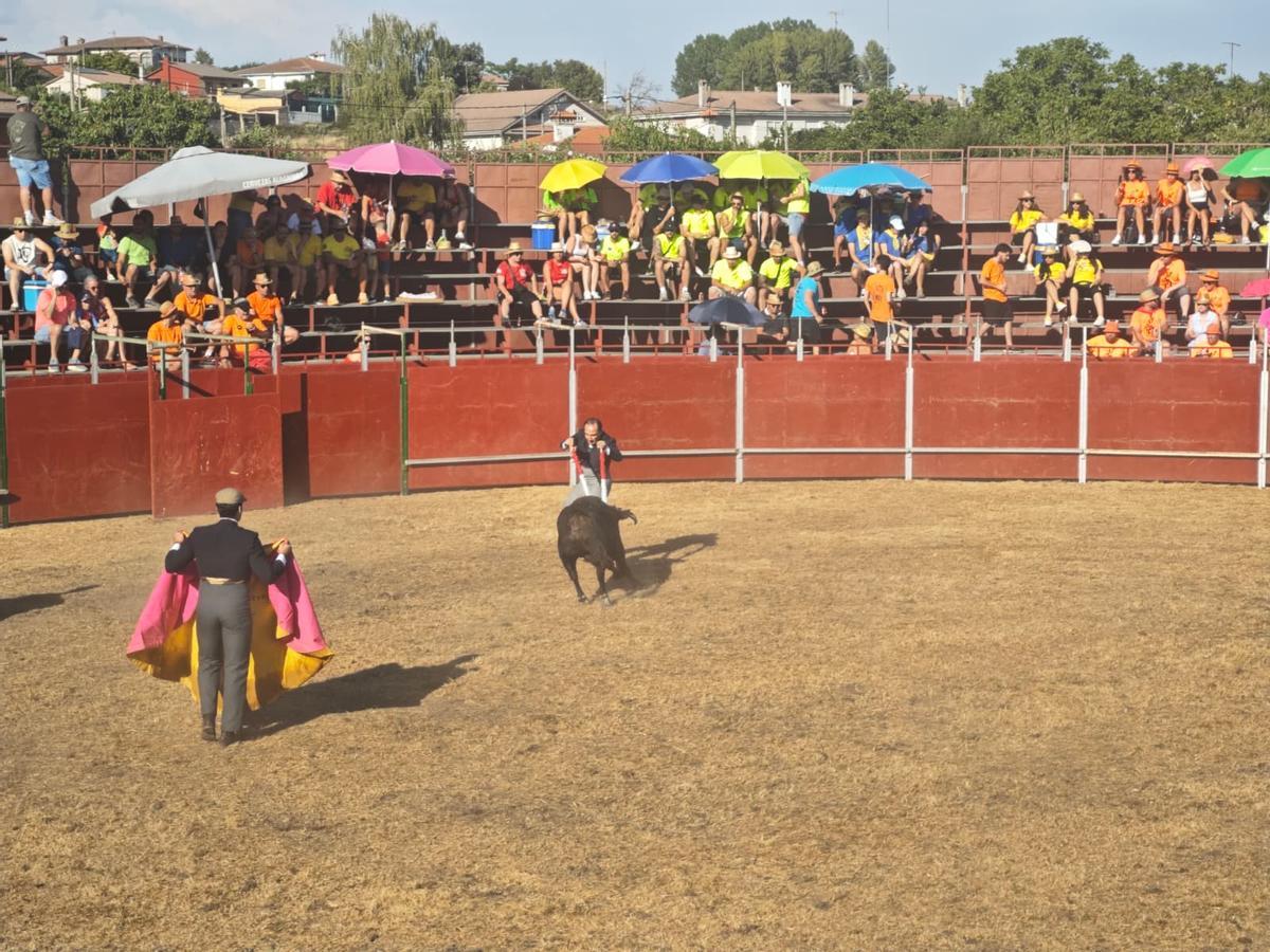 GALERÍA| Tarde de toros en Alcañices