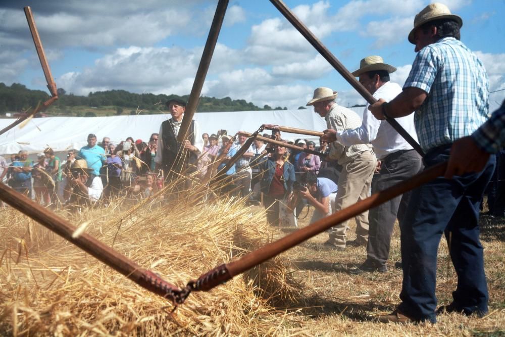 La tradición volvió a la parroquia un año más para recrear los distintos procesos. 30 trabajadores dieron cuenta de la malla ante medio centenar de asistentes