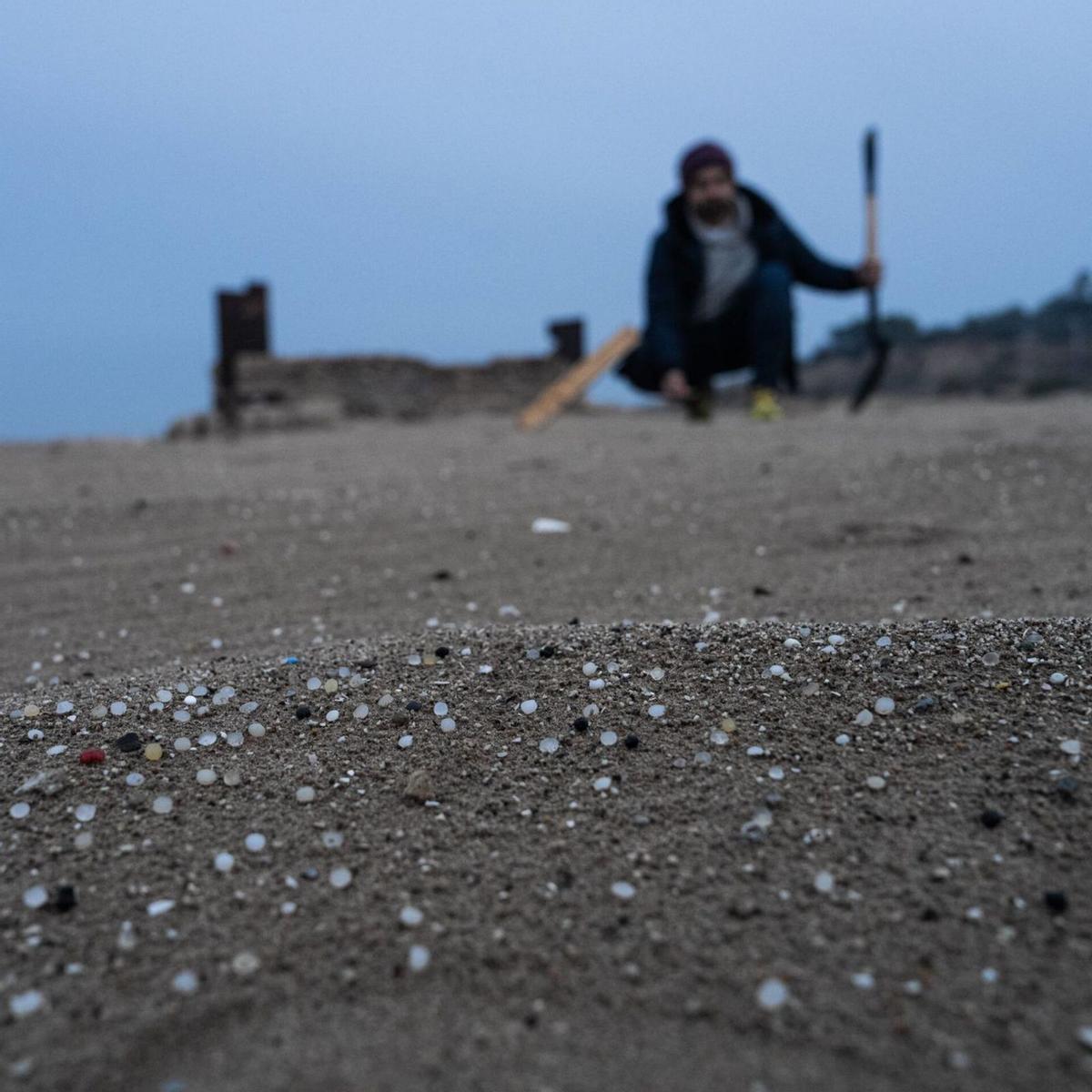 Pèl·lets endèmics a Tarragona