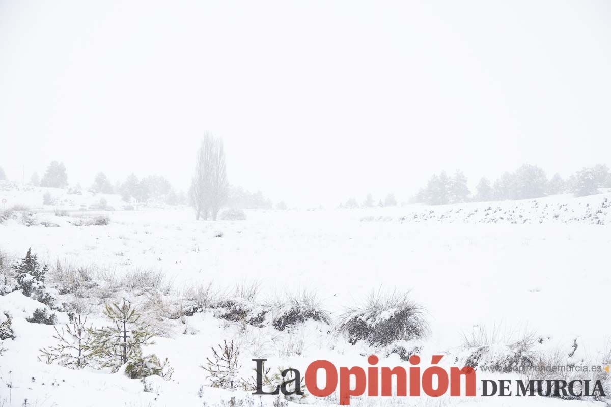 Continúa la nevada en las zonas altas de la comarca del Noroeste