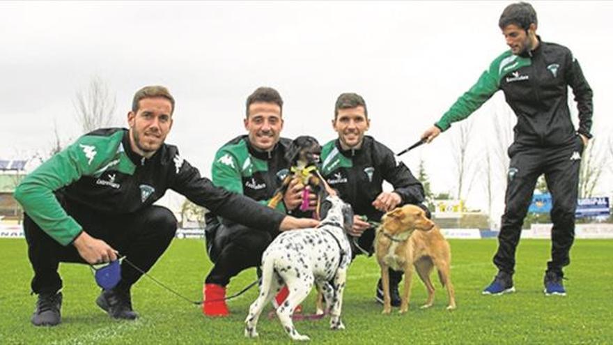 Controlar la reproducción es el fin de una nueva campaña de Anima en Villanueva de la Serena