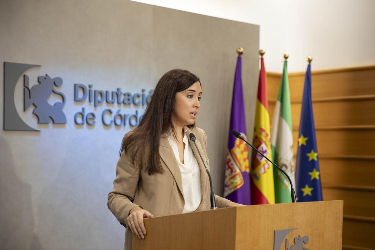 Ana Rosa Ruz, en una rueda de prensa en la Diputación.