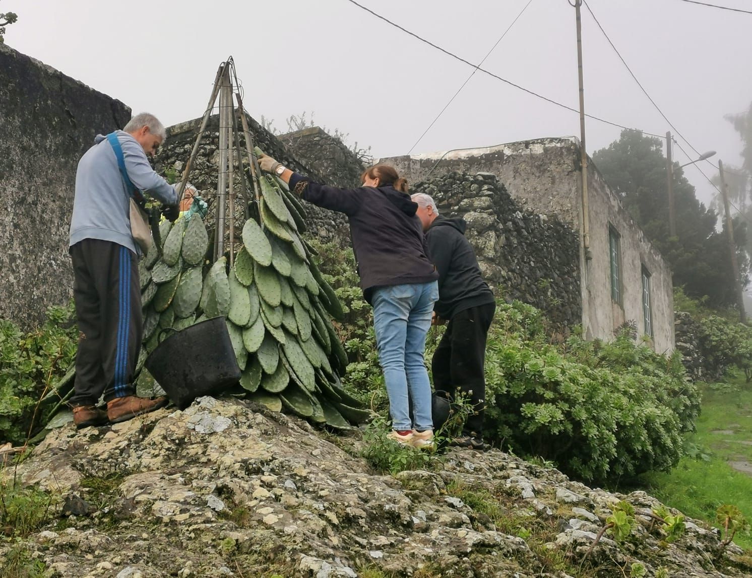 Así se crea el árbol de Navidad de Tiñor, uno de los más originales de Canarias