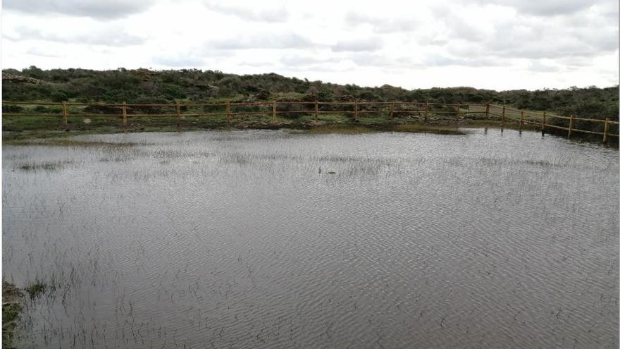 L&#039;estany de Sa Planassa de Cadaqués