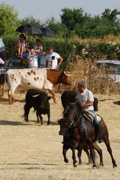 Fiestas en Zamora: Espantes en Fuentelapeña