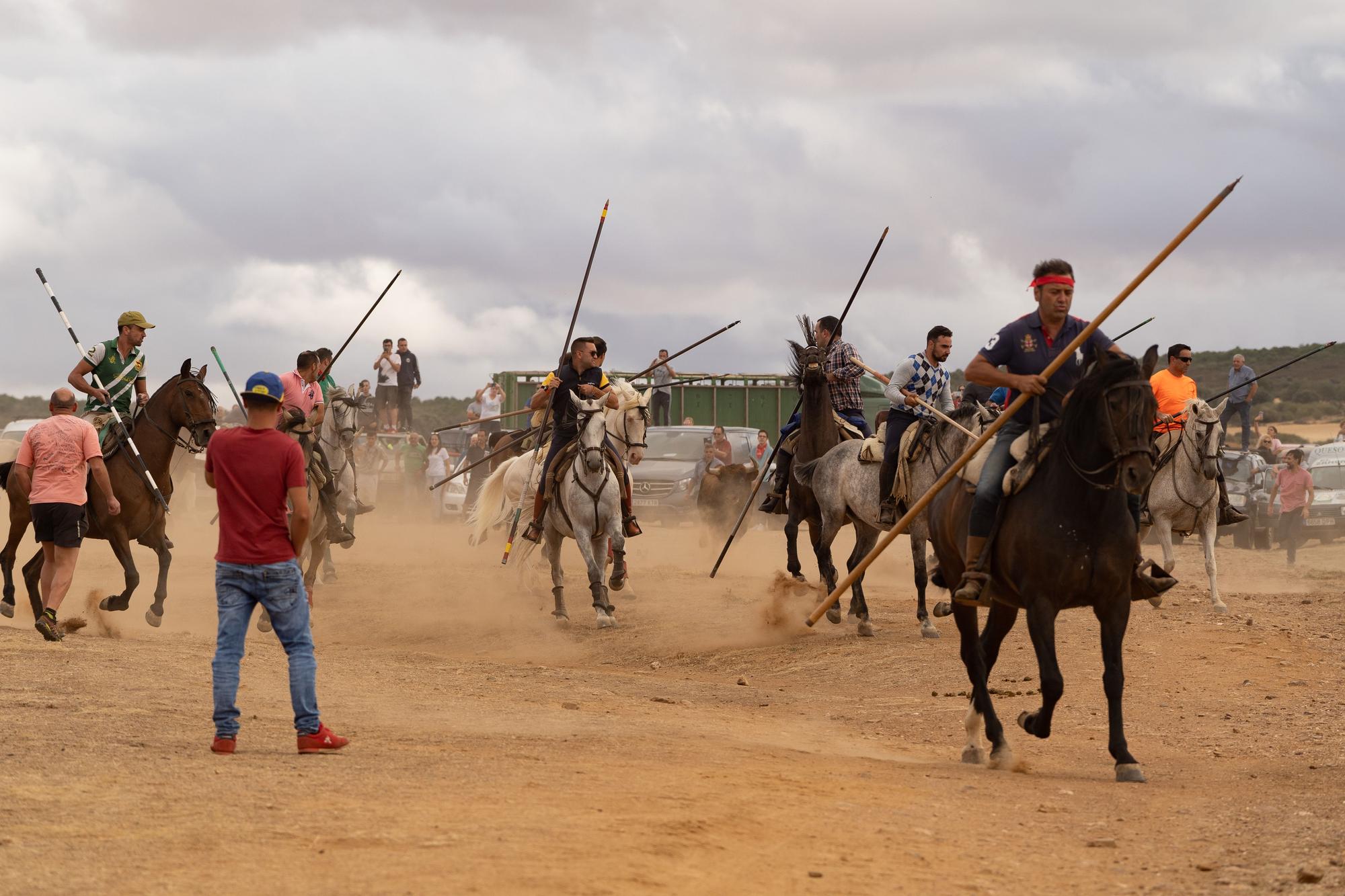 GALERIA | Espantos en Carbajales del sábado, 10 de septiembre