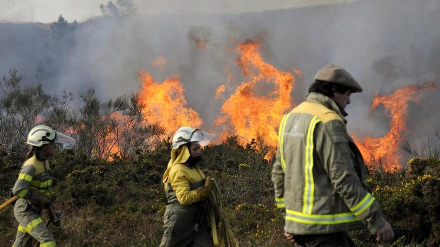 Bridagistas ante el fuego, ayer, entre O Irixo y Lalín