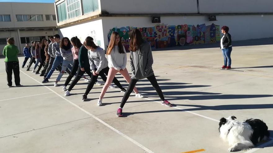 Imagen de algunas de las actividades con los escolares.