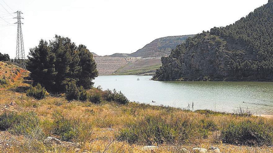 En el vaso del embalse se ha formado una laguna que atrae a las aves y a los mamíferos.