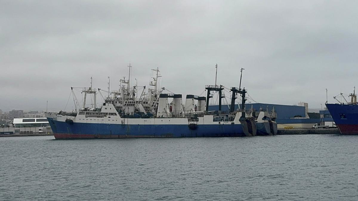 El 'Kaptain Rusak' y el 'Profesor Mikhaylo Alexandrov' permanecen aún en el Puerto de Las Palmas