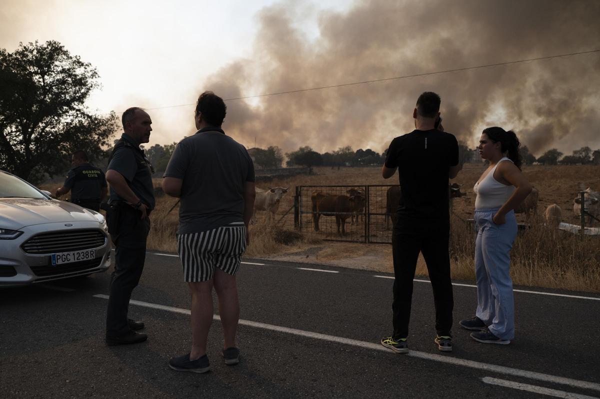 FOTOGALERÍA | Las imágenes del incendio de Arroyo de la Luz