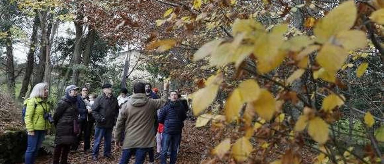 Visita guiada al Jardín Botánico Atlántico, uno de los atractivos turísticos que ofrece la ciudad.