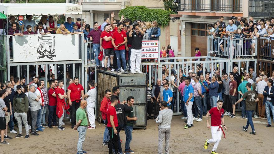 Las molestias de peñas y collas bajan un 24 % durante las fiestas de Almassora