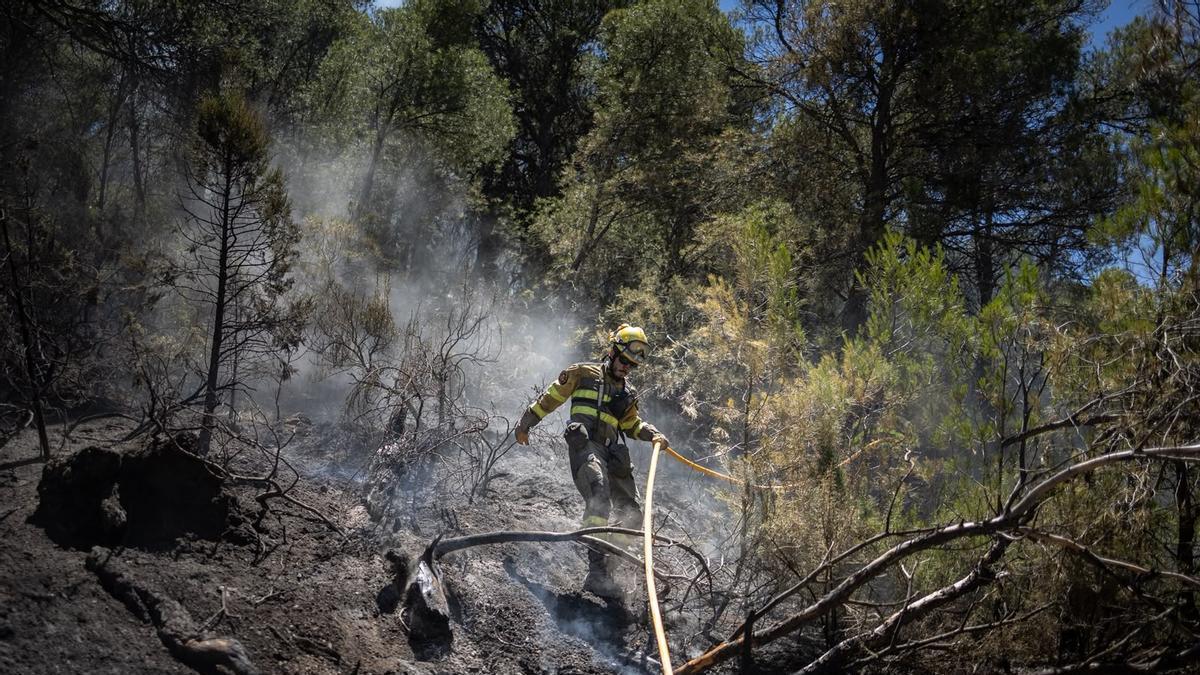 Vídeo | Horas decisivas durante la tarde para los dos incendios de la Sierra de Alcubierre: el operativo trabaja sin descanso