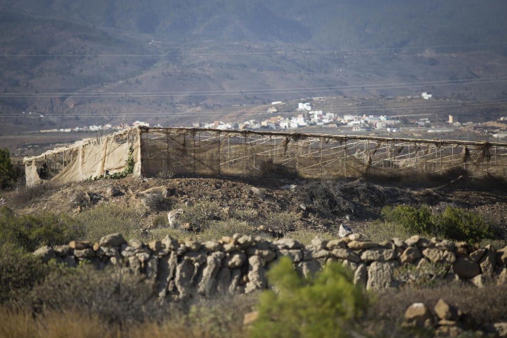 Fotos de invernaderos abandonados en el Sur de ...