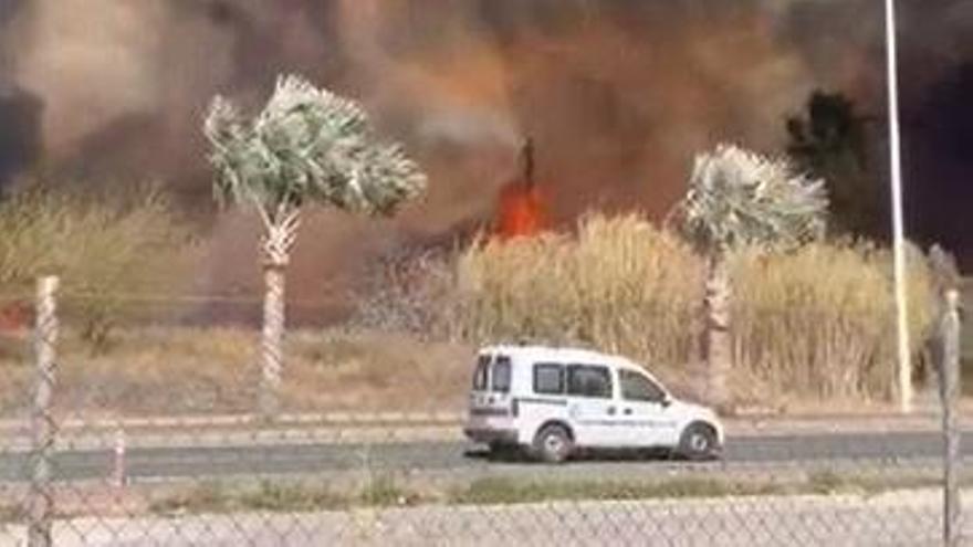 Incendio entre la avenida Reino de Murcia y Juan de Borbón.