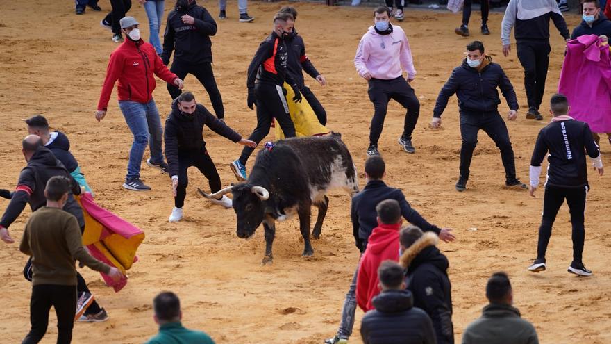 GALERÍA | Vuelve el Toro de la Purísima a Villalpando: así se ha celebrado el festejo taurino