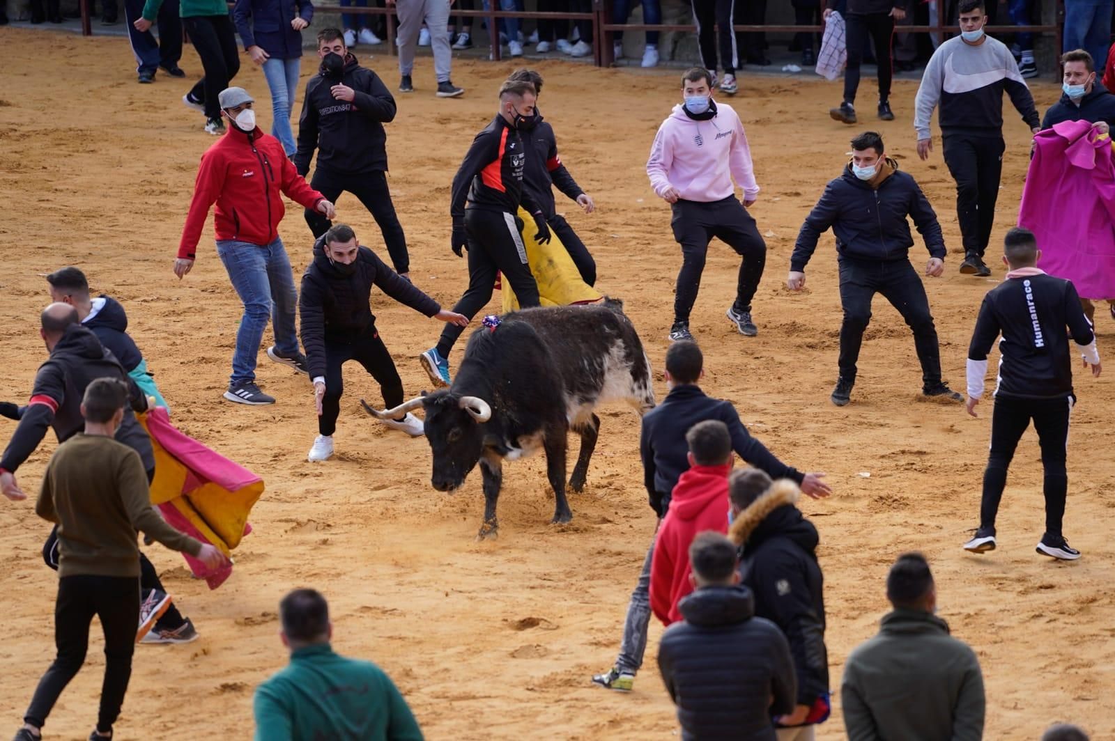 GALERÍA | Vuelve el Toro de la Purísima a Villalpando: así se ha celebrado el festejo taurino