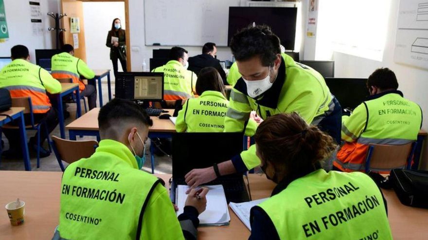 Tenerife Invests €1.8 Million to Create Jobs for 114 Young Workers