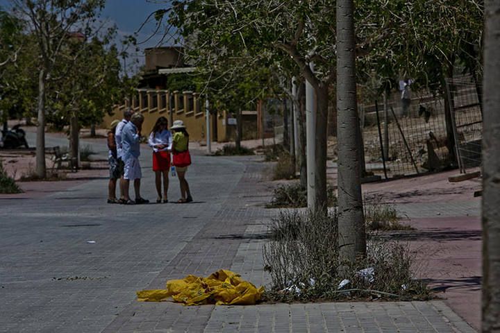 Falta de mantenimiento en el Paseo de Algeciras de Arenales