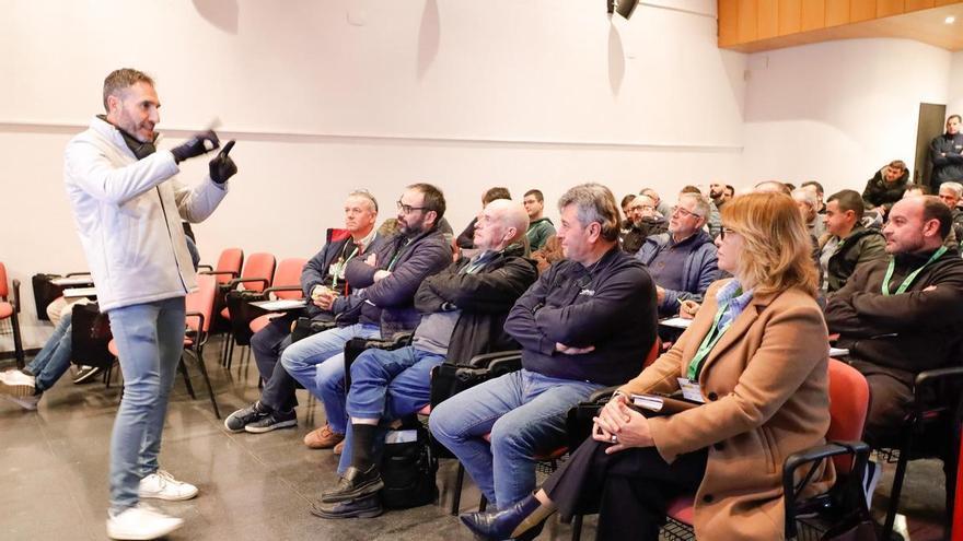 La temporalidad del aceite pone en riesgo el oficio de maestro almazarero