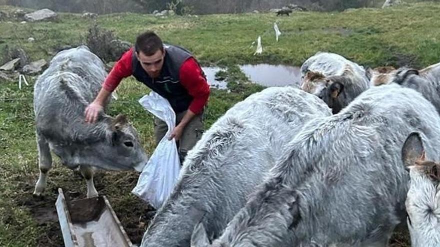 El regidor ferit pel pistoler de Les Llosses: «Vaig votar Vox com a reacció a l’agressió que vaig patir»