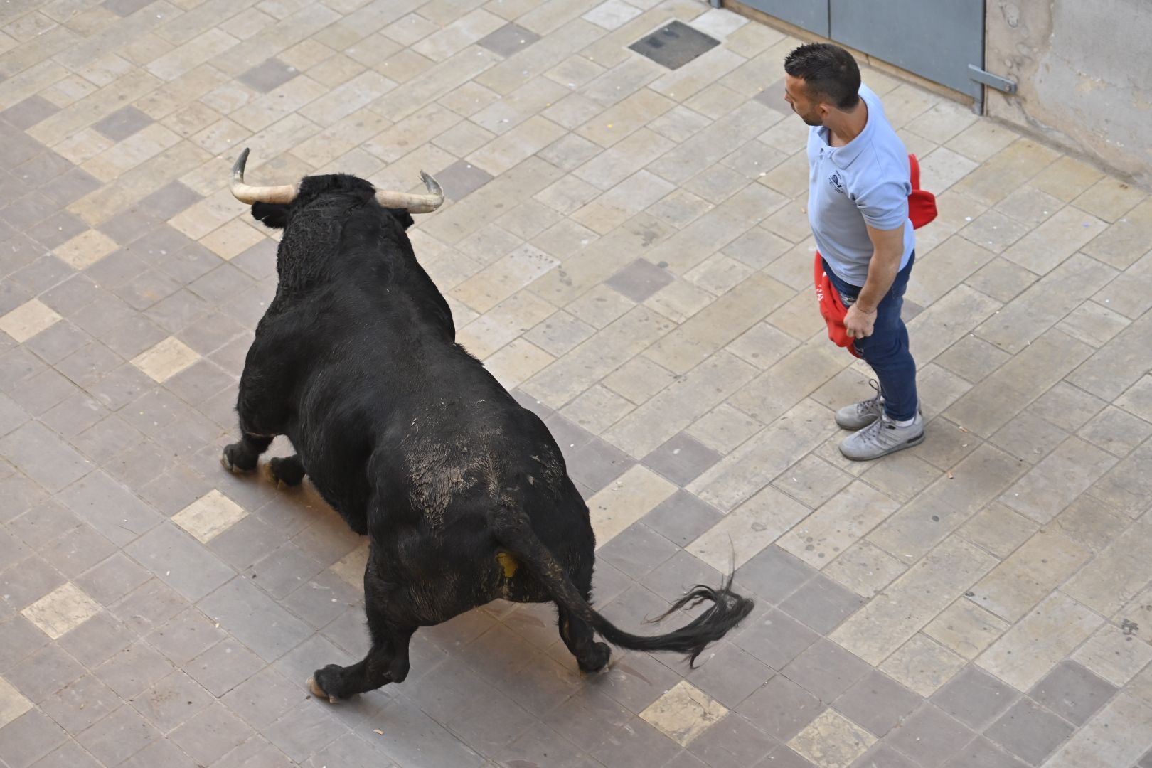 Galería | Primera tarde de toros en Almassora